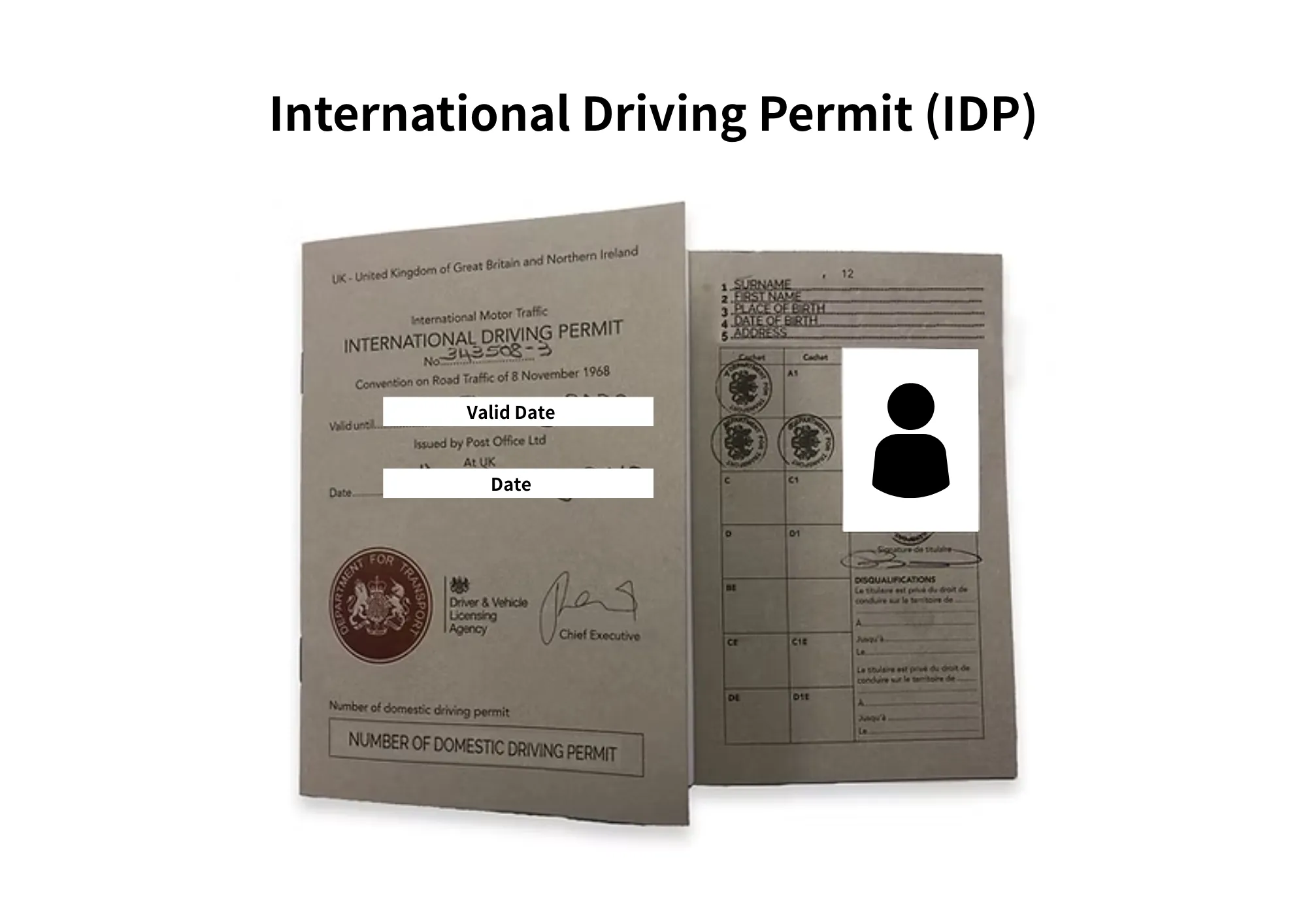 IDP